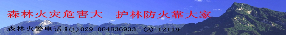 ɭַ