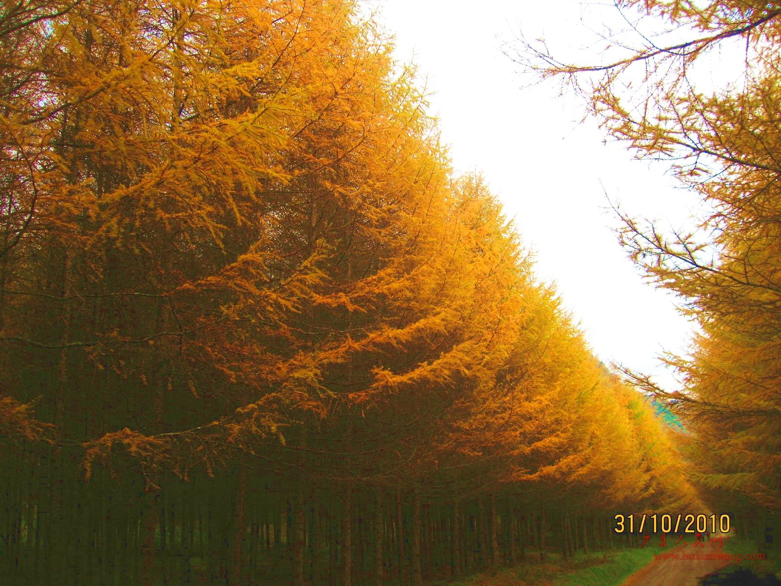 Ƭ 082.jpg