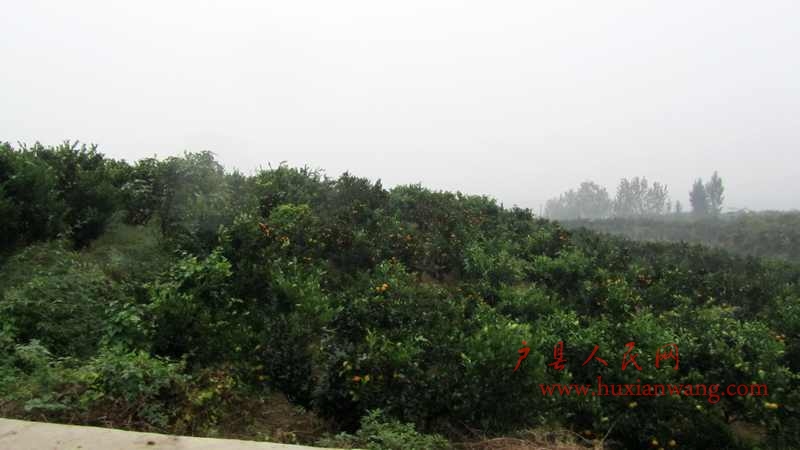 IMG_0141.JPG