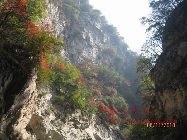 Ƭ 028.jpg