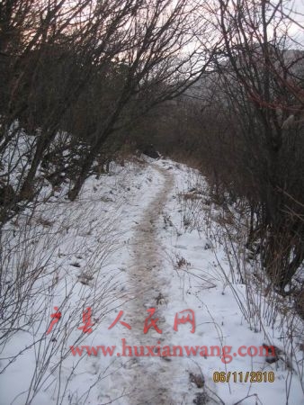 Ƭ 071.jpg