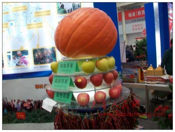 2010.11.4.-5. 026_nEO_IMG.jpg