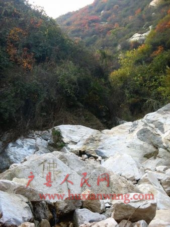 IMG_9617.jpg