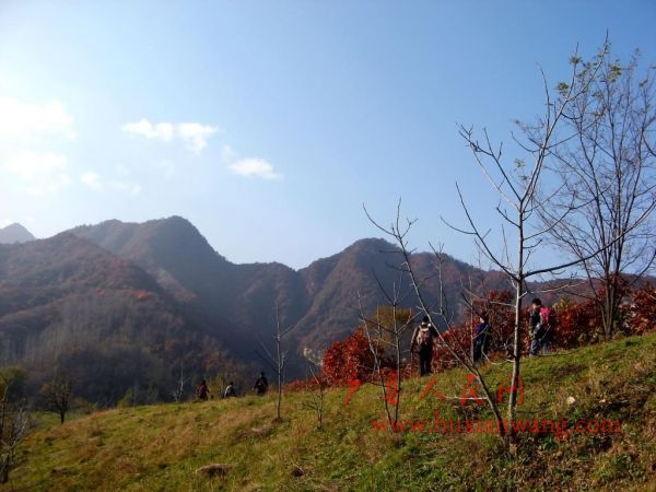 IMG_9633.jpg