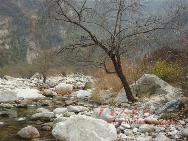 CANG13V0.jpg