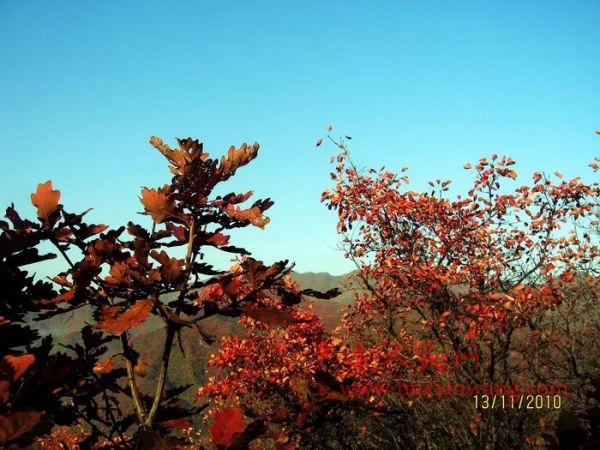 Ƭ 022.jpg