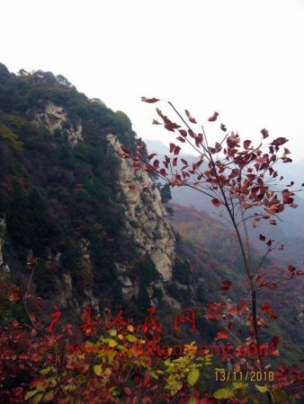 Ƭ 071.jpg
