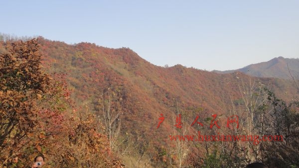 DSC02558.JPG