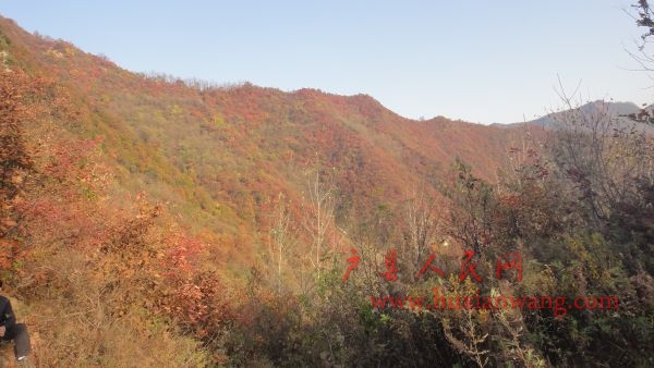 DSC02564.JPG