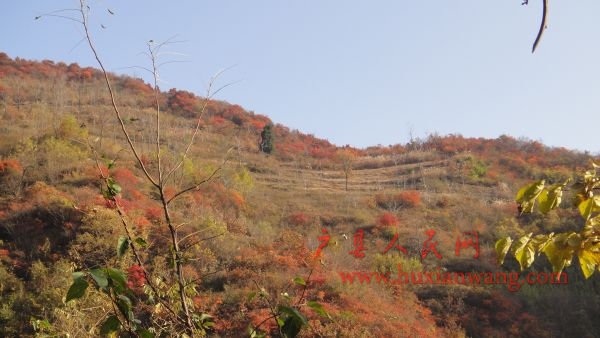 DSC02566.JPG