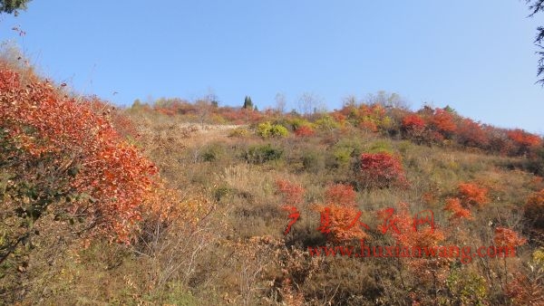DSC02569.JPG