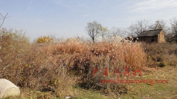 DSC02585.JPG