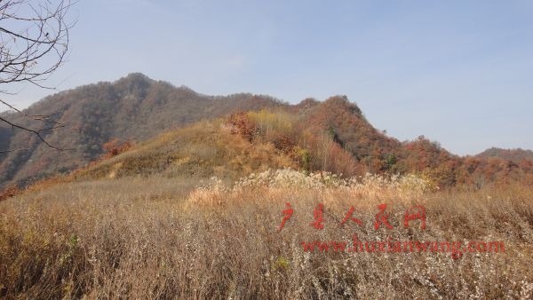 DSC02595.JPG