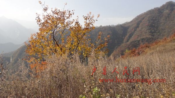DSC02596.JPG