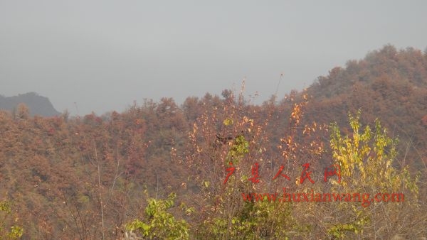 DSC02605.JPG