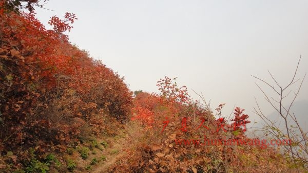 DSC02609.JPG