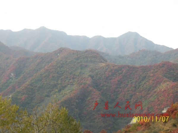100_1395.JPG