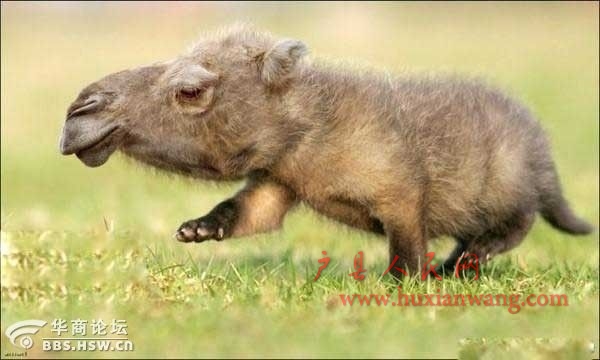 17_18377_18367a3f53be908.jpg