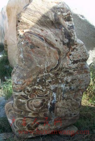 Ƭ20091002 063-1.jpg