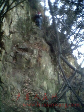IMG0060A.jpg