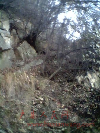 IMG0071A.jpg