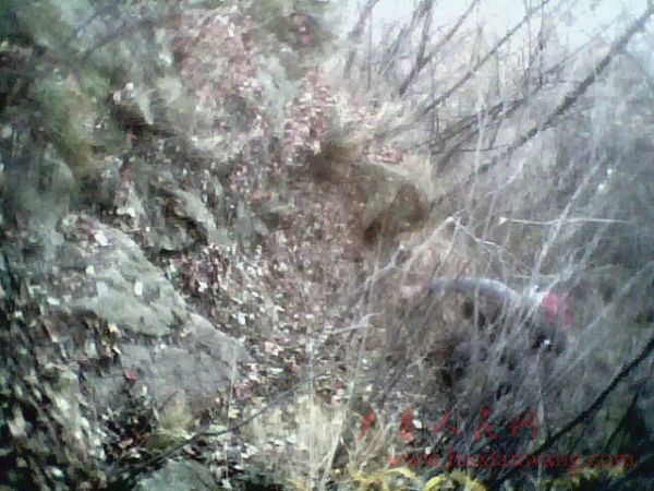 IMG0077A.jpg