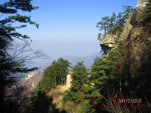 Ƭ 041.jpg