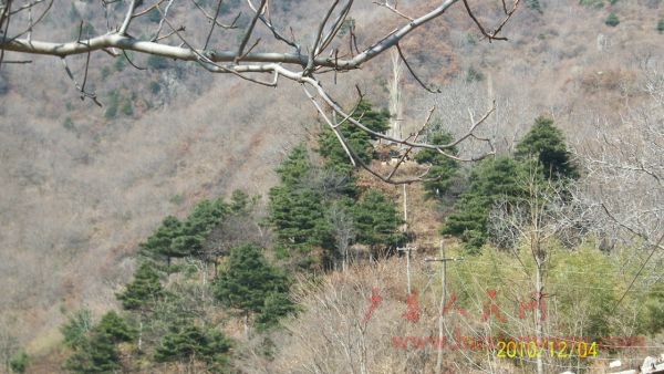 100_1461.JPG