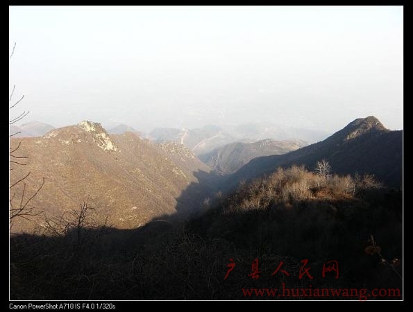 IMG_9781.jpg