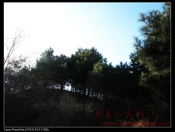 IMG_9783.jpg