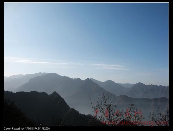 IMG_9830.jpg
