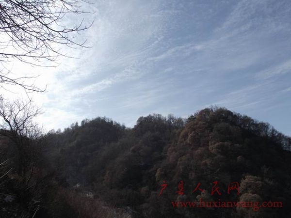 С DSCF0619.JPG