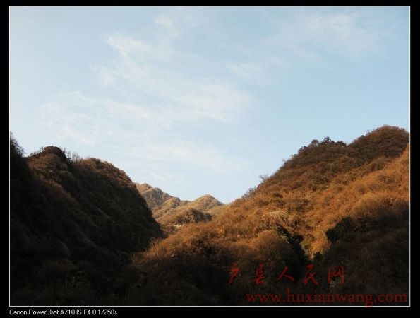 IMG_9898.jpg