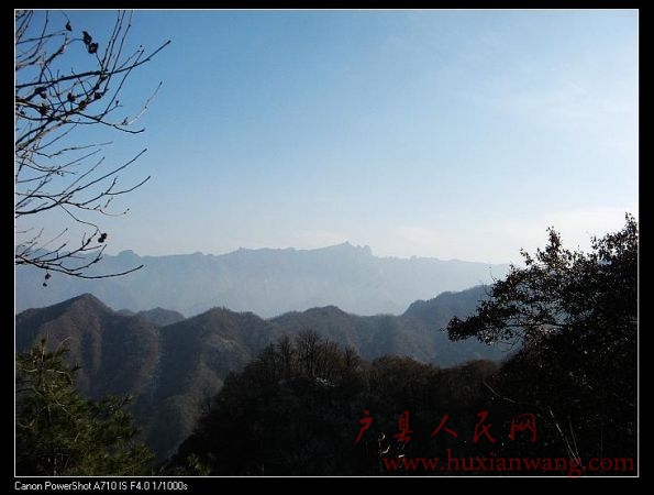 IMG_9927.jpg