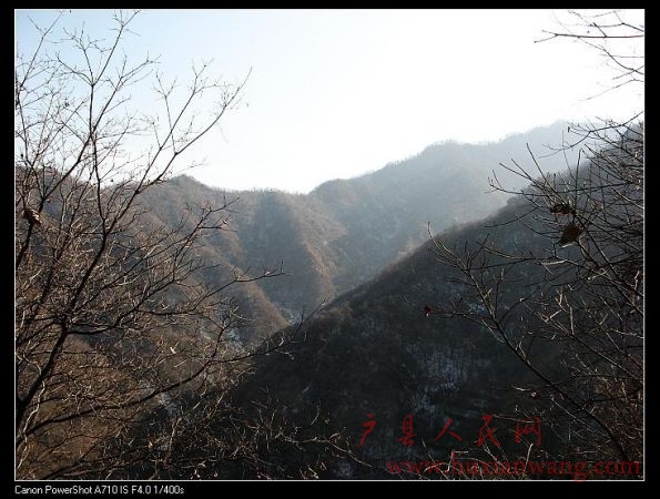 IMG_9929.jpg