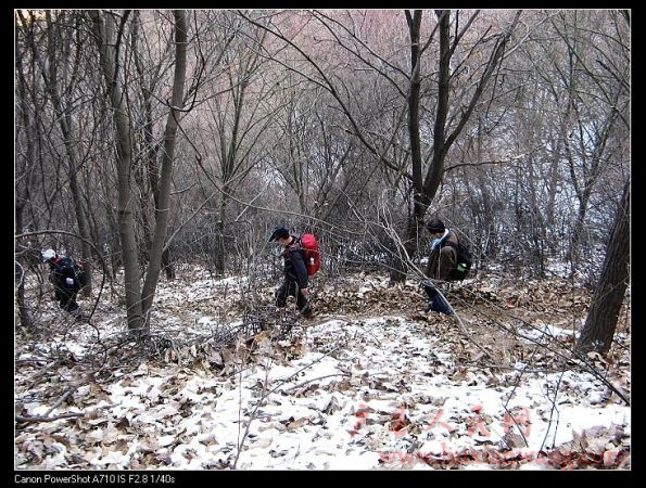 IMG_9932.jpg