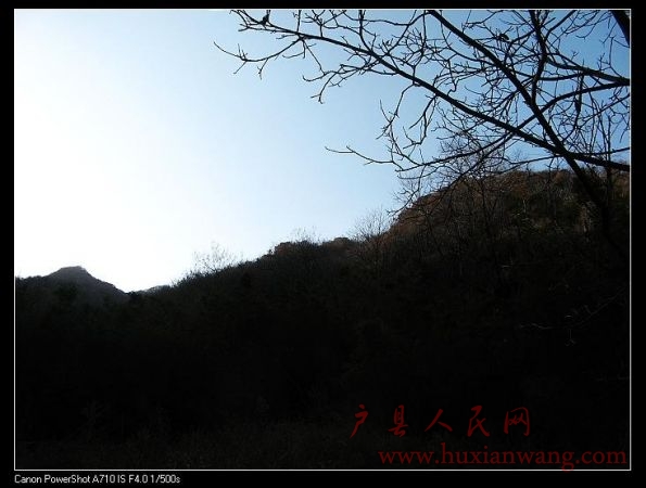 IMG_9940.jpg