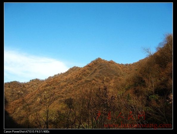 IMG_9946.jpg