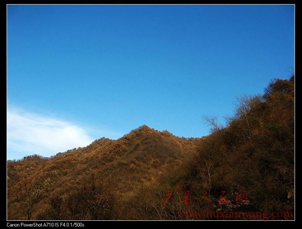 IMG_9945.jpg