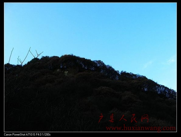 IMG_9947.jpg