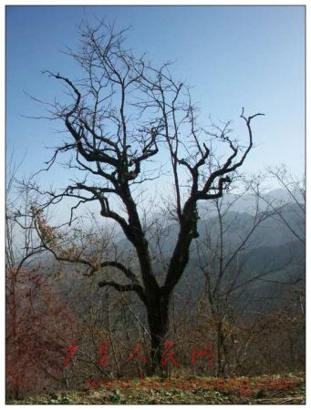 2010.12.19.״Ԫ¥ 074_nEO_IMG.jpg