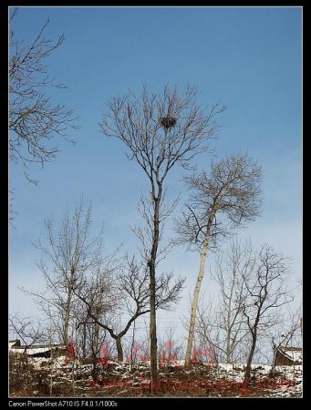 IMG_9994.jpg