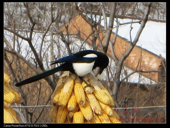 IMG_0002.jpg