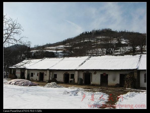 IMG_0004.jpg