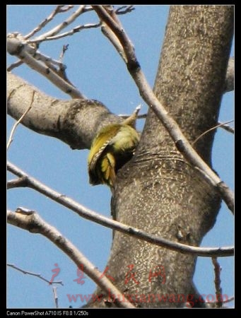 IMG_0007.jpg