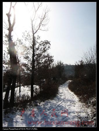 IMG_0020.jpg