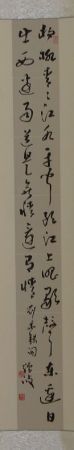 DSC00565.JPG