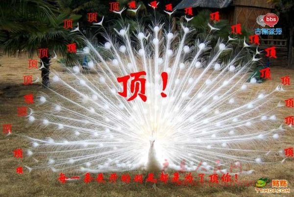 78d9553f519a71cd7d1e7114.jpg