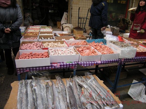 DSCN0703.JPG