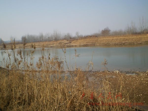 P2010009.JPG